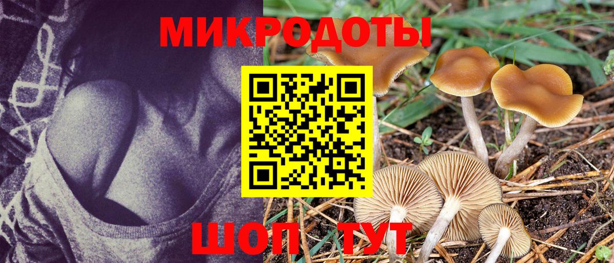 Зерноград  Псилоцибиновые грибы мухоморы  Вход с VPN 