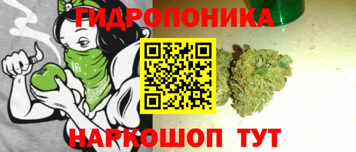 Конопля план  Бошки марихуана индика  Вход с VPN  Зерноград  Шишки марихуана Amnesia 